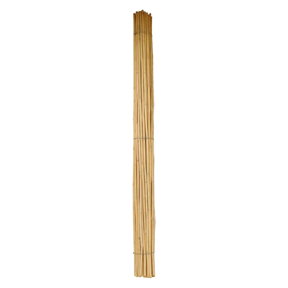 CANNA BAMBU' Ø 24/26 mm. circa - h. mt 2 CANNA BAMBU' Ø 24/26 mm. circa - h. mt 2