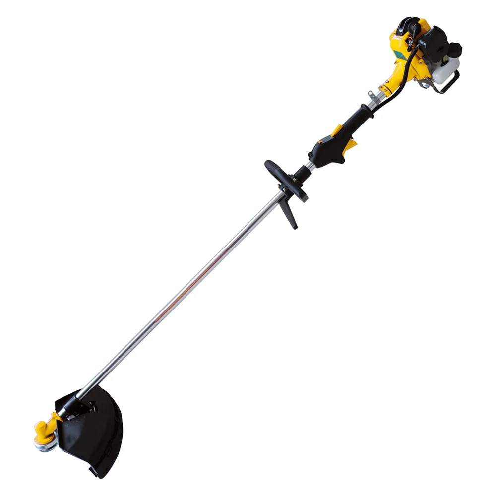 DECESPUGLIATORE 'PG260W' Hp 1 DECESPUGLIATORE 'PG260W' Hp 1