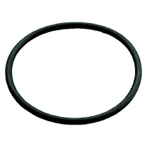 GUARNIZIONE O.RING 2 - per art. 615208