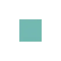 SHABBY CHIC PROVENZALE DECORGESSO ANTICANTE ALL'ACQUA 375 ml - Borma Wachs Colori Borma Wachs: 60 - NERO