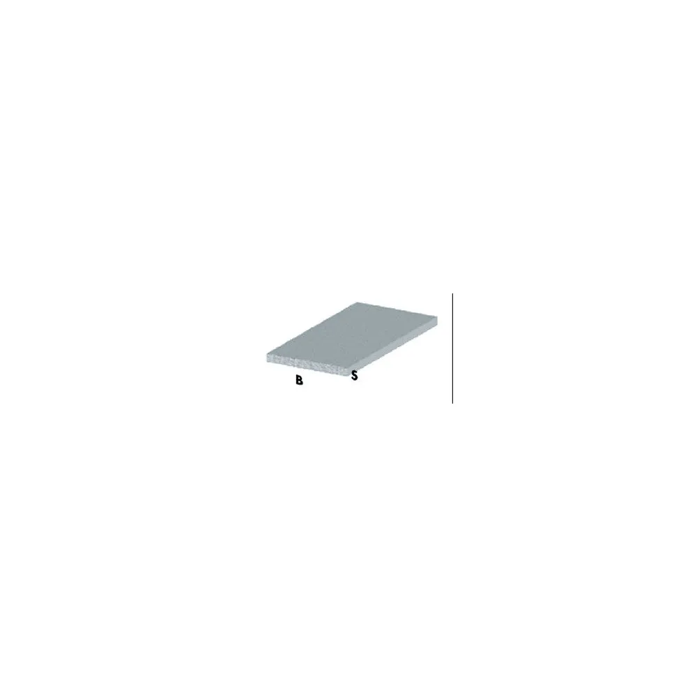PROFILO ARGENTO H.100 PIATTO 25X2