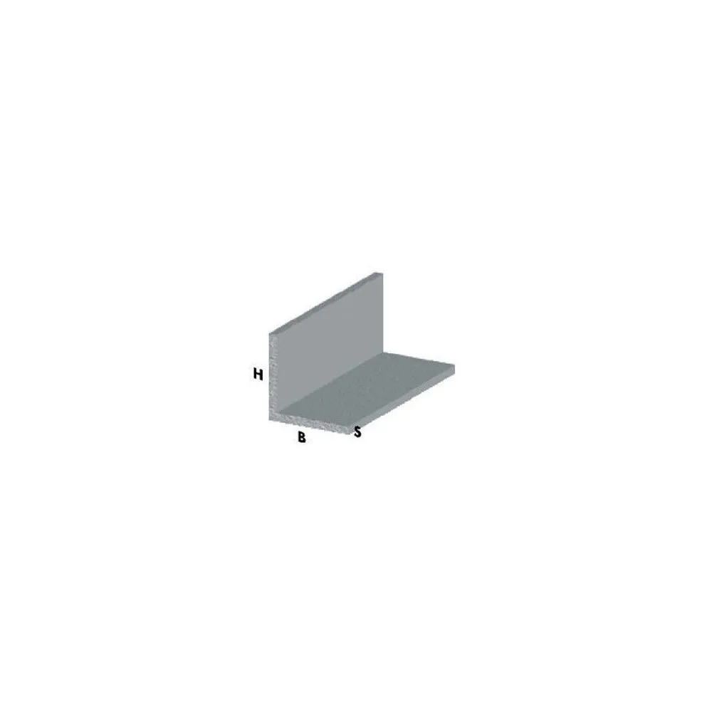 PROFILO ARGENTO H.100 ANGOLARE 20X10X1 PROFILO ARGENTO H.100 ANGOLARE 20X10X1