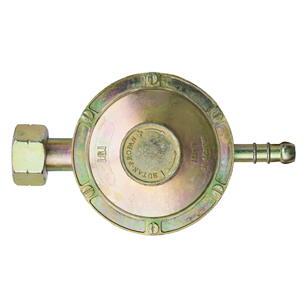 REGOLATORE GPL ORIZZONTALE BASSA PRESSIONE 1 REGOLATORE GPL ORIZZONTALE BASSA PRESSIONE 1