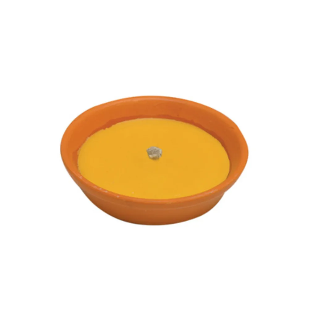 CITRONELLA IN COCCIO ANTIVENTO D 11 CM (53