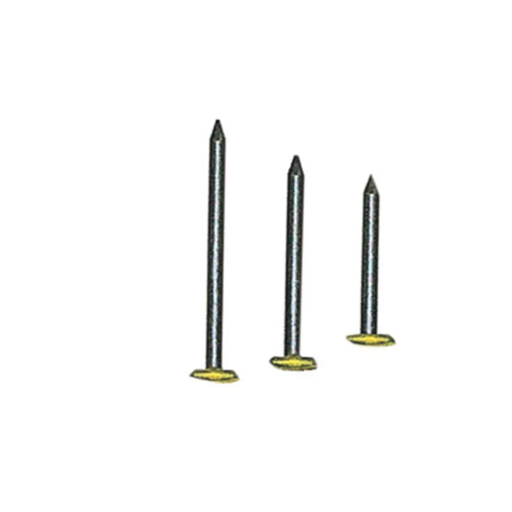 CHIODI P/QUADRI TESTA RICOP OTT 2X30 MM DA 100 PZ (10