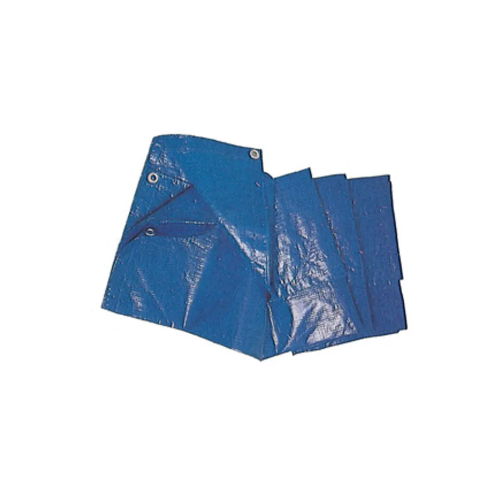 C TELO OCCHIELLATO PE 5 X 6M 85GR BLU