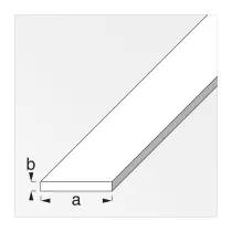 PROFILO BIANCO H.200 CM PIATTO 15X2 MM (5