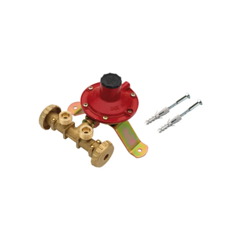 CENTRALINA P/GAS A 2 RUBIN 4 KG/H S/FLESS MIGN* CENTRALINA P/GAS A 2 RUBIN 4 KG/H S/FLESS MIGN*