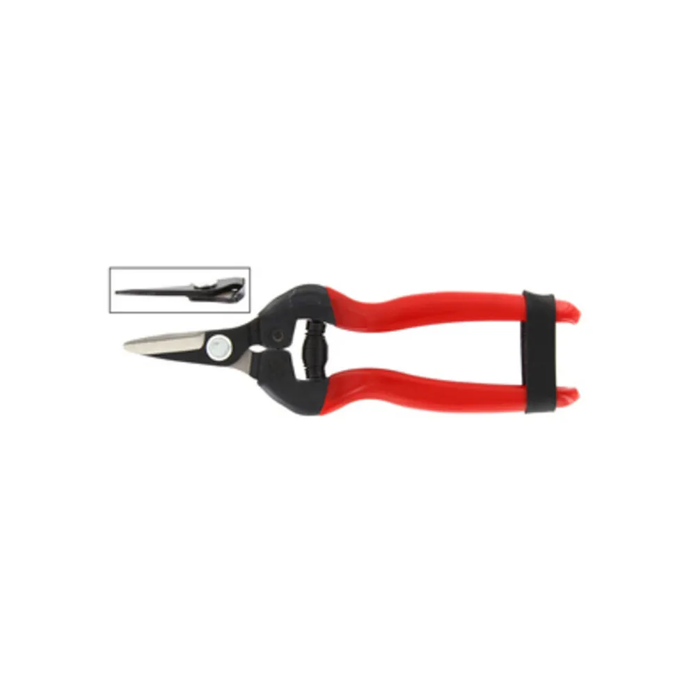 FORBICI P/UVA LAME DRITTE CORTE FORBICI P/UVA LAME DRITTE CORTE