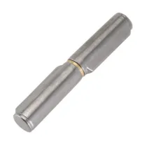 CERNIERA C/COSTA  255 PERNO ACCIAIO 120 MM (24