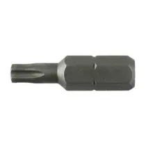 LTI INSERTO TORX 25 MM T07 M 2