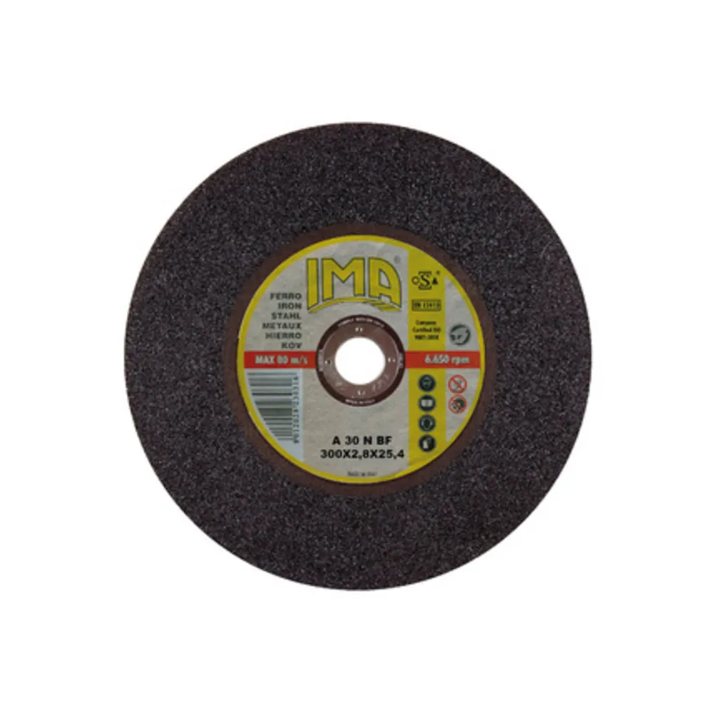 IMA DISCO P/TRONCARE FERRO D 300X2