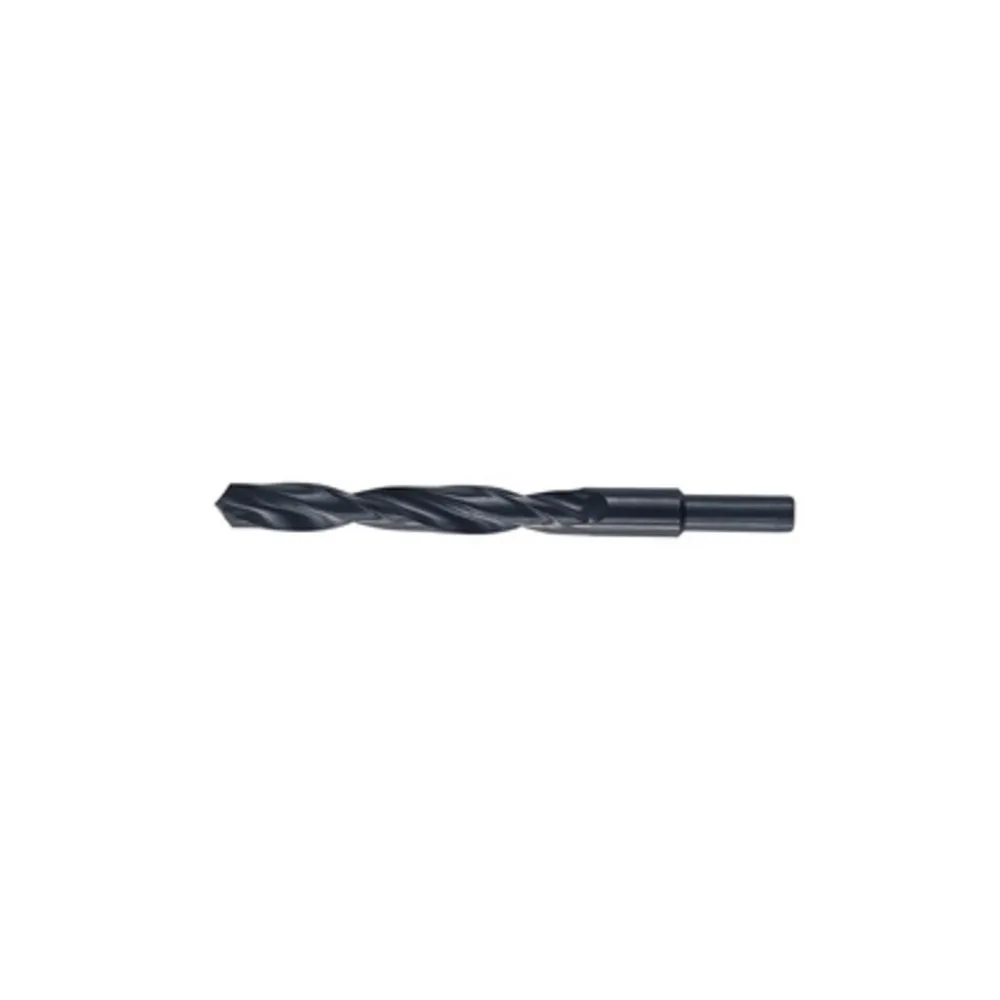 PUNTE HSS CODOLO 13 MM D 20
