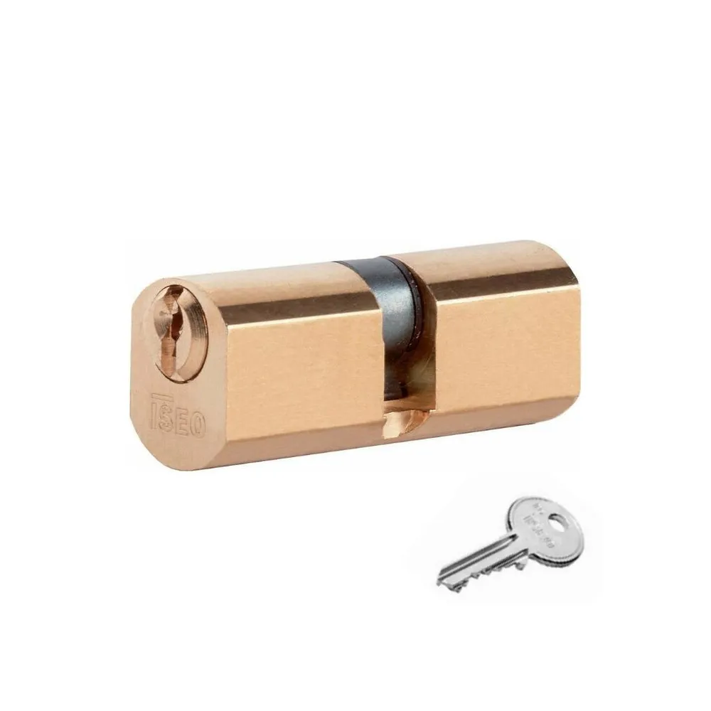 ISEO F5 8400 CILINDRO TONDO 54 MM (27+27) D.22 ISEO F5 8400 CILINDRO TONDO 54 MM (27+27) D.22