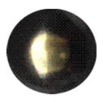 BULLETTA TAPPEZZIERE LISCIA BRON SFUM  9 MM 1000 PZ*