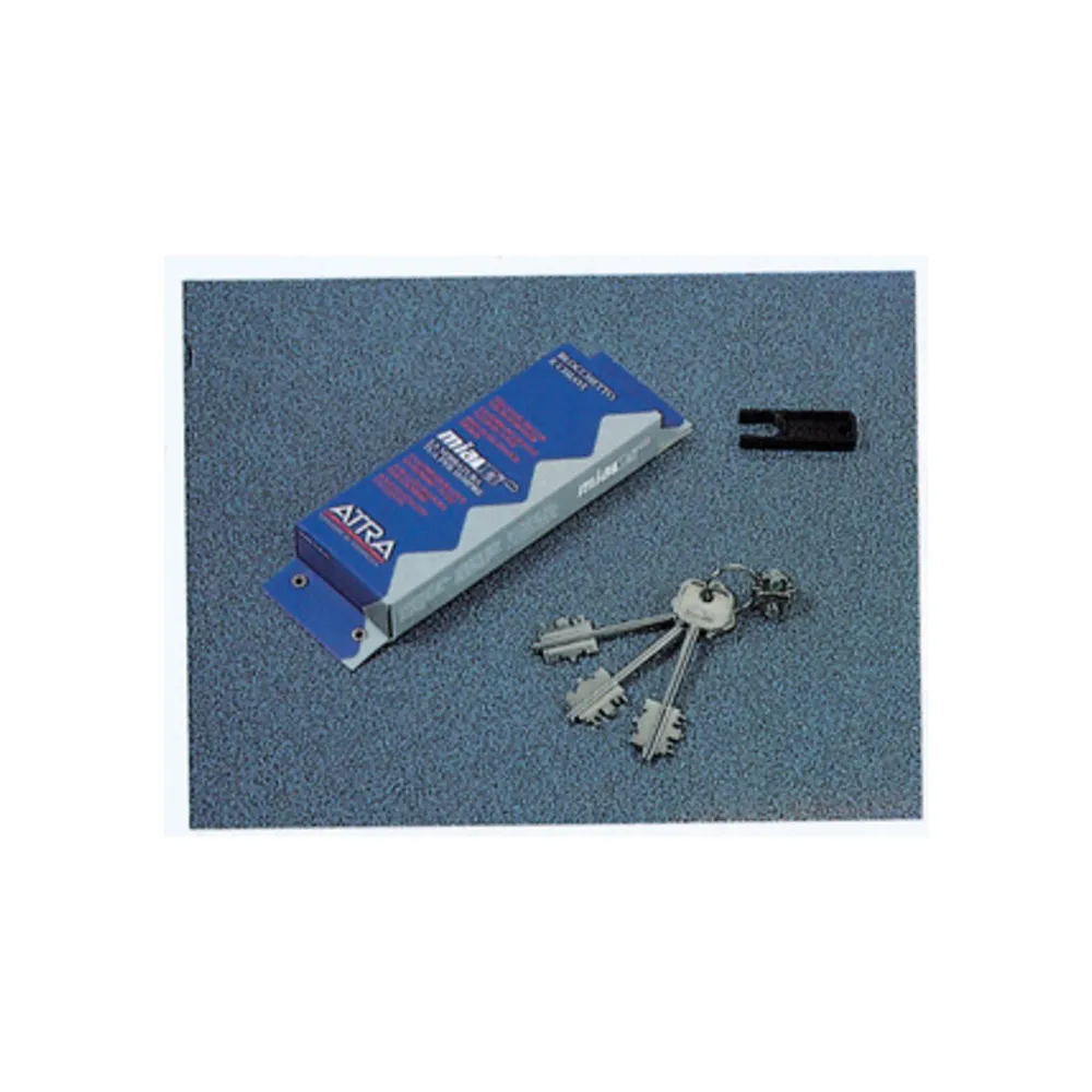 ATRA BLOCCHETTO BLO3110 C/CHIAVE 92 MM ATRA BLOCCHETTO BLO3110 C/CHIAVE 92 MM