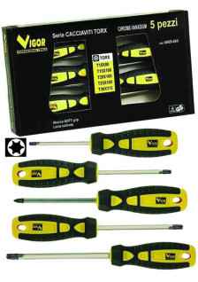 SERIE CACCIAVITI VIGOR TORX...