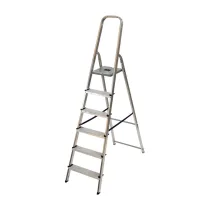 SCALA ALL. FACAL DOMUS K100  6 GRADINI