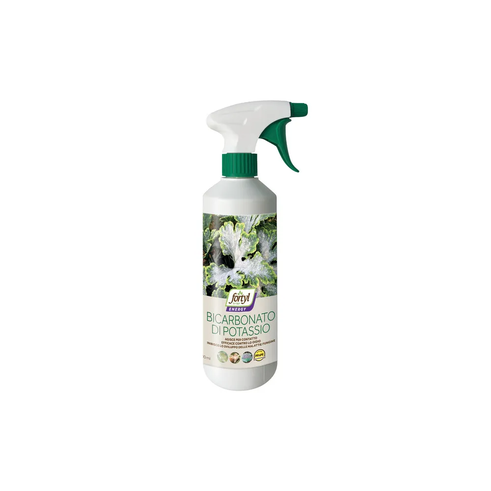 FUNGICIDA COPYR BICARBONATO DI POTASSIO 500 ML (12 FUNGICIDA COPYR BICARBONATO DI POTASSIO 500 ML (12