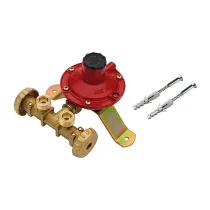 CENTRALINA P/GAS A 2 RUBIN  7 KG/H S/FLESS MIGN*