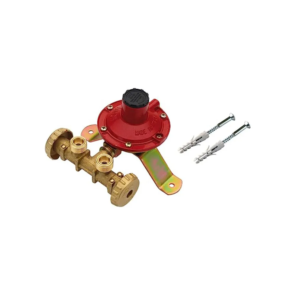 CENTRALINA P/GAS A 2 RUBIN 7 KG/H S/FLESS MIGN* CENTRALINA P/GAS A 2 RUBIN 7 KG/H S/FLESS MIGN*