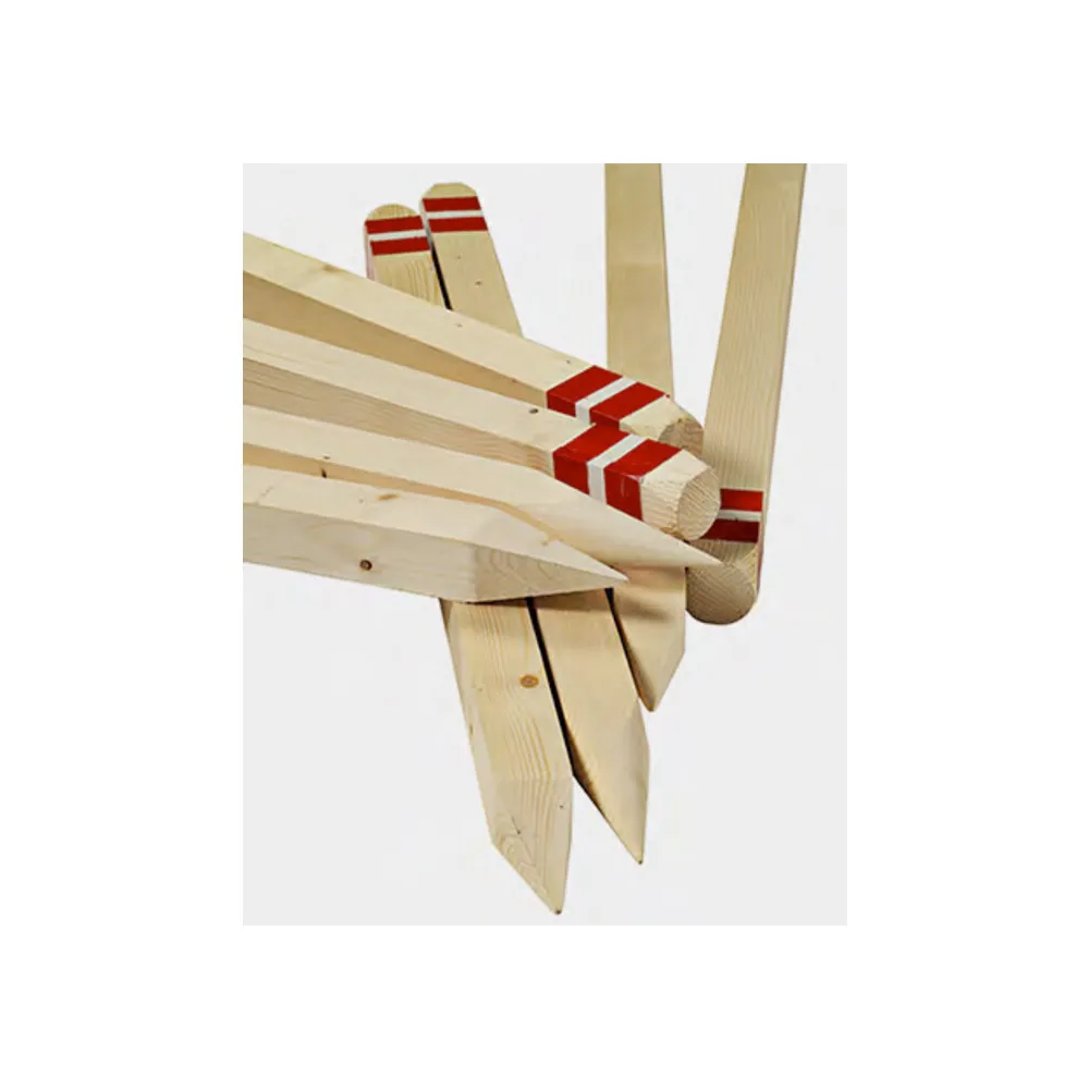 PICCHETTO IN LEGNO C/PUNTA 5X5XH100 CM (10 PICCHETTO IN LEGNO C/PUNTA 5X5XH100 CM (10