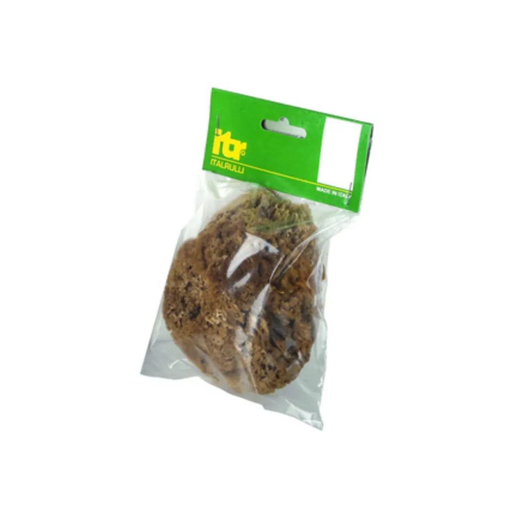 SPUGNA MARINA NATURALE 14 CM P/PITTURE SM SPUGNA MARINA NATURALE 14 CM P/PITTURE SM