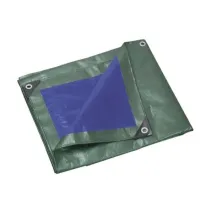 C TELO OCCHIELLATO PE 3 X 4M 110GR VERDE/BLU
