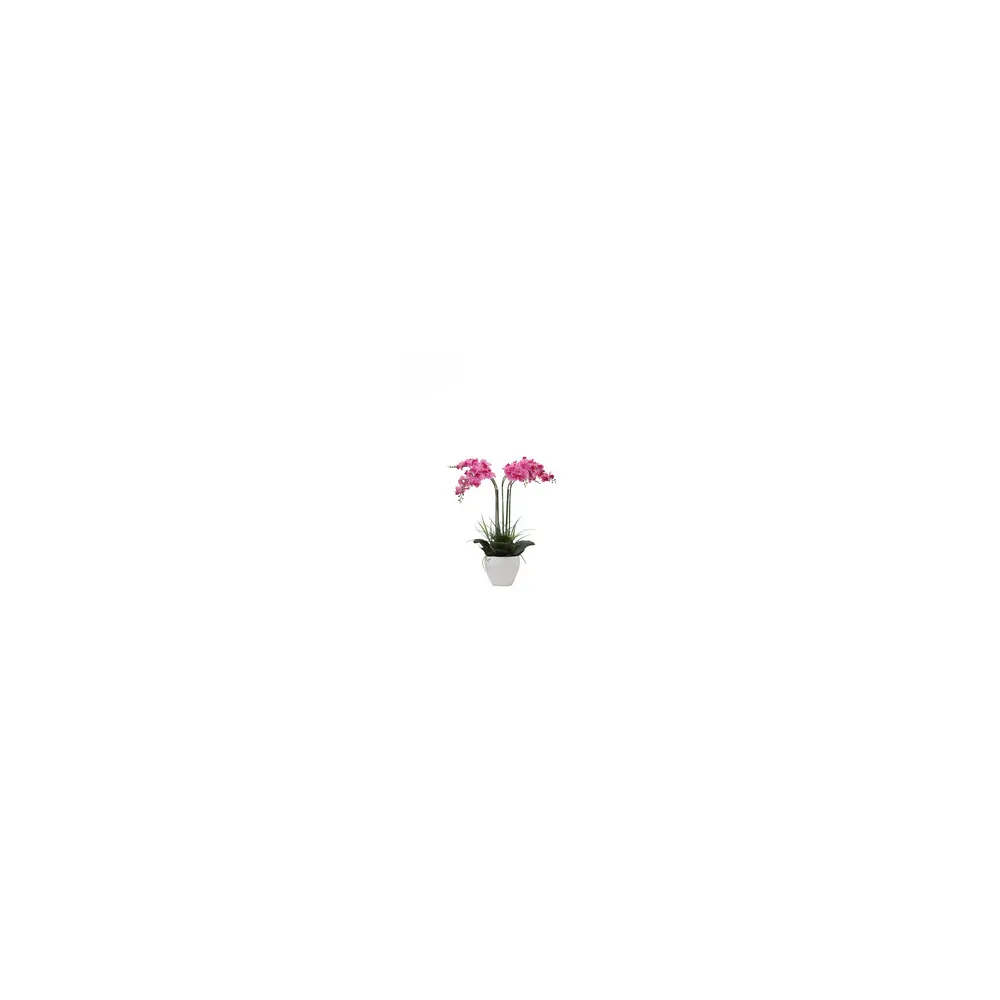 C ORCHIDEA C/VASO BIANCO 60 CM C ORCHIDEA C/VASO BIANCO 60 CM
