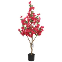 C BOUGANVILLEA 120 CM (4