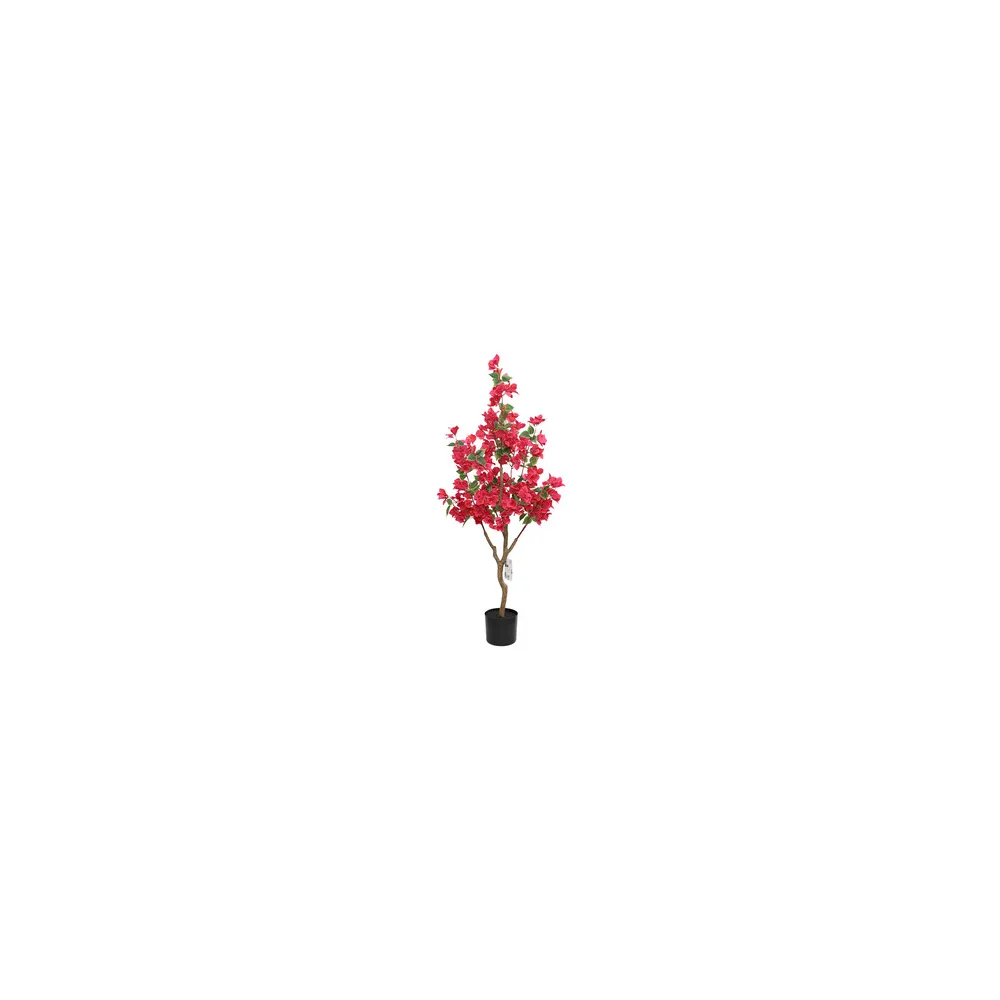C BOUGANVILLEA 120 CM (4 C BOUGANVILLEA 120 CM (4