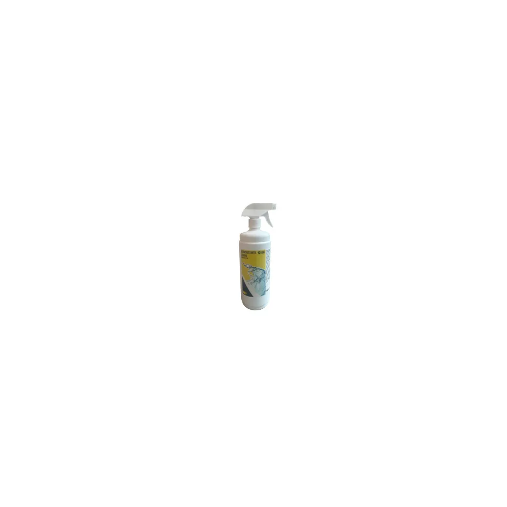 C DISINCROSTANTE PISCINA LIQUIDO 1 KG