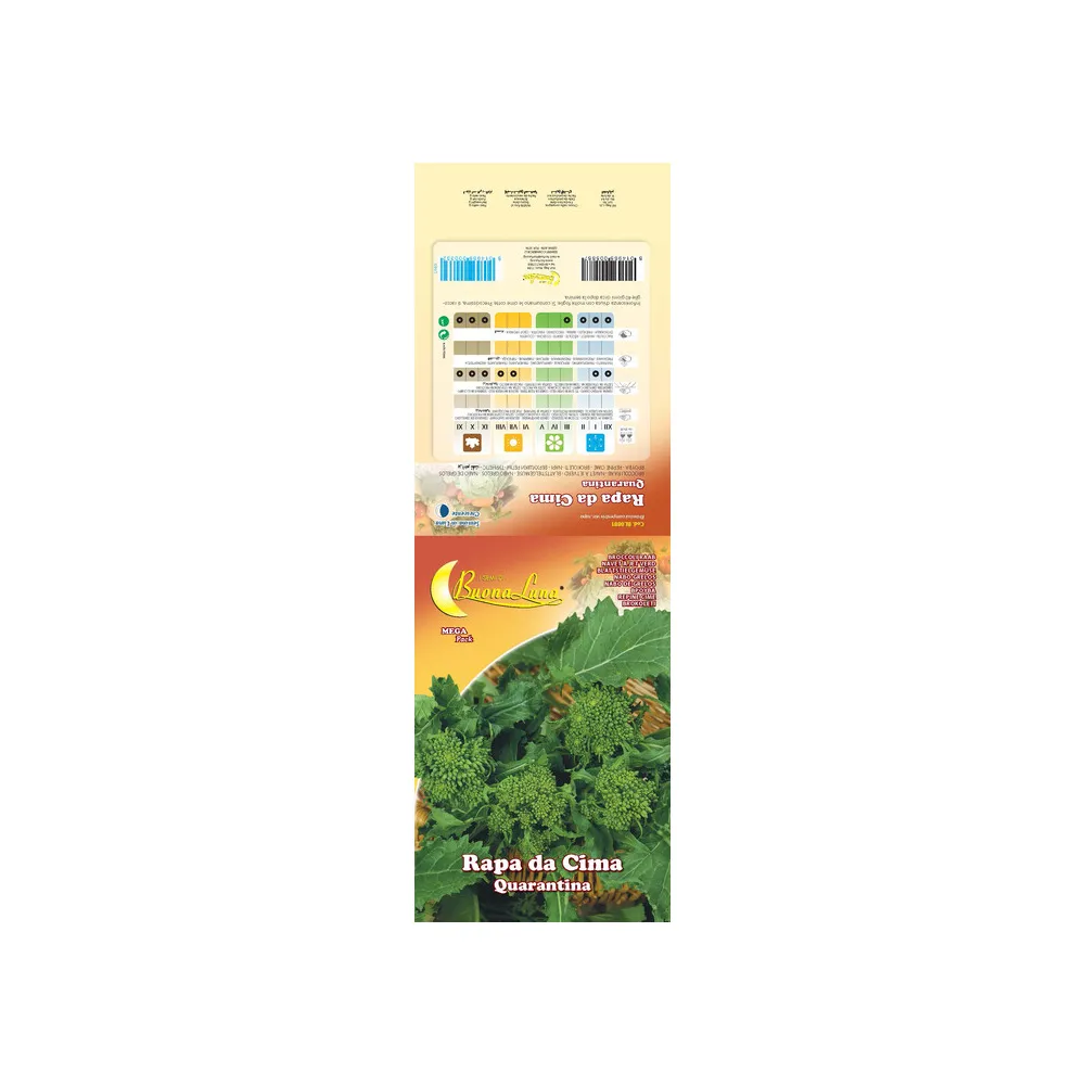 SEMI ORTO CIMA DI RAPA QUARANTINA (10 SEMI ORTO CIMA DI RAPA QUARANTINA (10