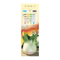 SEMI ORTO FINOCCHIO ROMANESCO (10