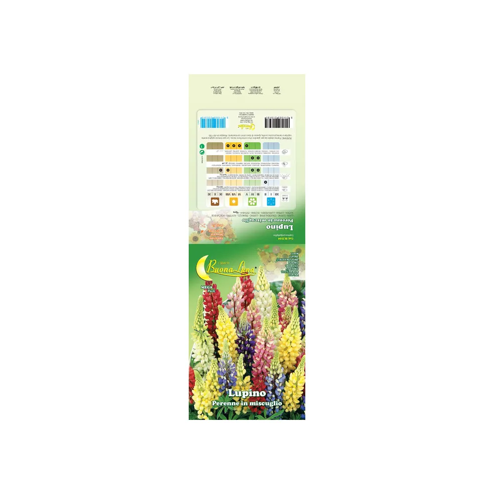 SEMI GARDEN LUPINO PERENNE (10 SEMI GARDEN LUPINO PERENNE (10
