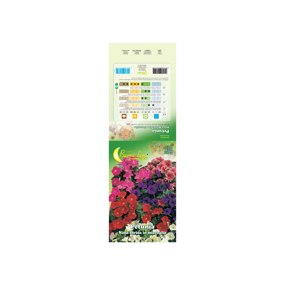 SEMI GARDEN PETUNIA HYBRIDA (10