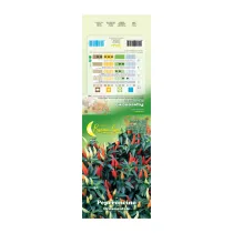 SEMI GARDEN PEPERONCINO ORNAMENTALE (10