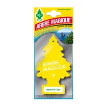 ARBRE MAGIQUE MEDITERRANEO CAPRI (24