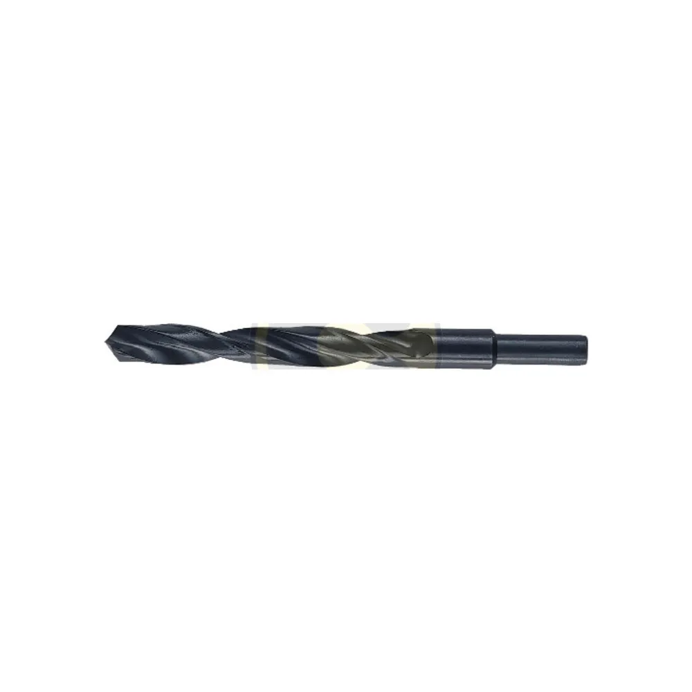 BL PUNTA HSS CODOLO 10 MM D 13 MM BL PUNTA HSS CODOLO 10 MM D 13 MM