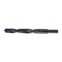BL PUNTA HSS CODOLO 10 MM D 15 MM