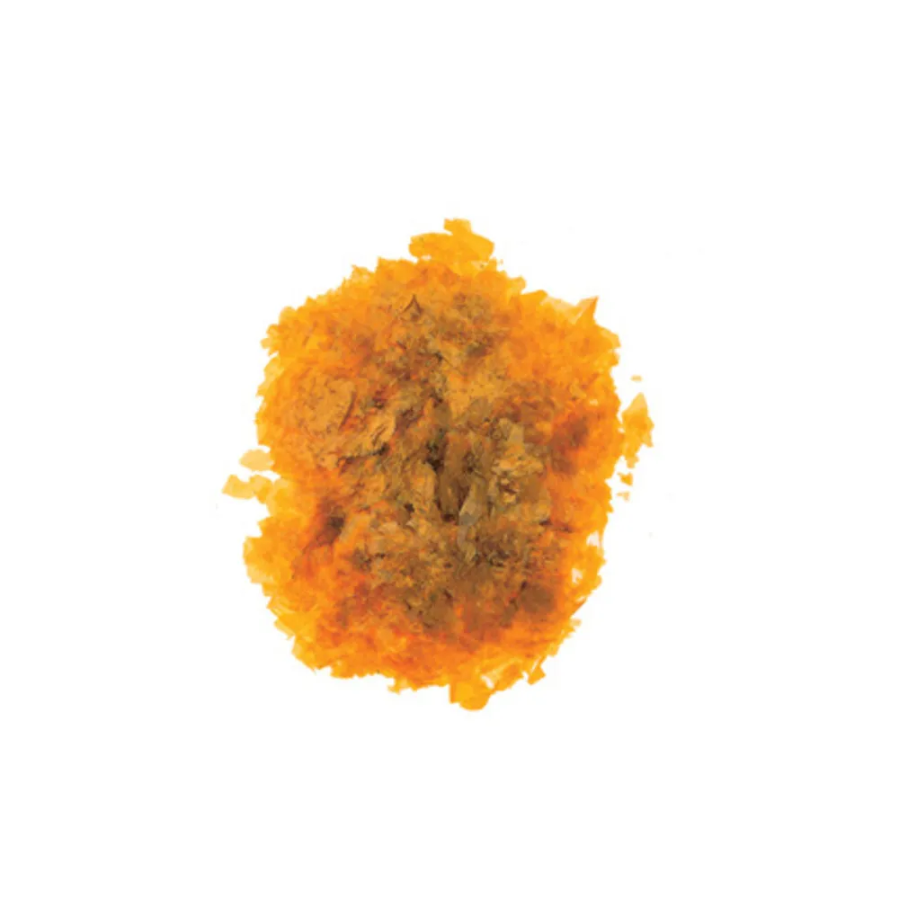 SC GOMMALACCA  40 G (5
