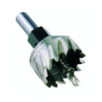 FRESA A TAZZA HSS ATTACCO 10 MM D 46 MM