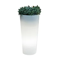 VASO SOLARE FICUS LED D 29XH59 CM RGB C/TELECOM