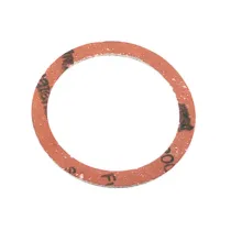 BL GUARNIZIONE P/RESISTENZA FILETTATA SCALD 3 PZ (6