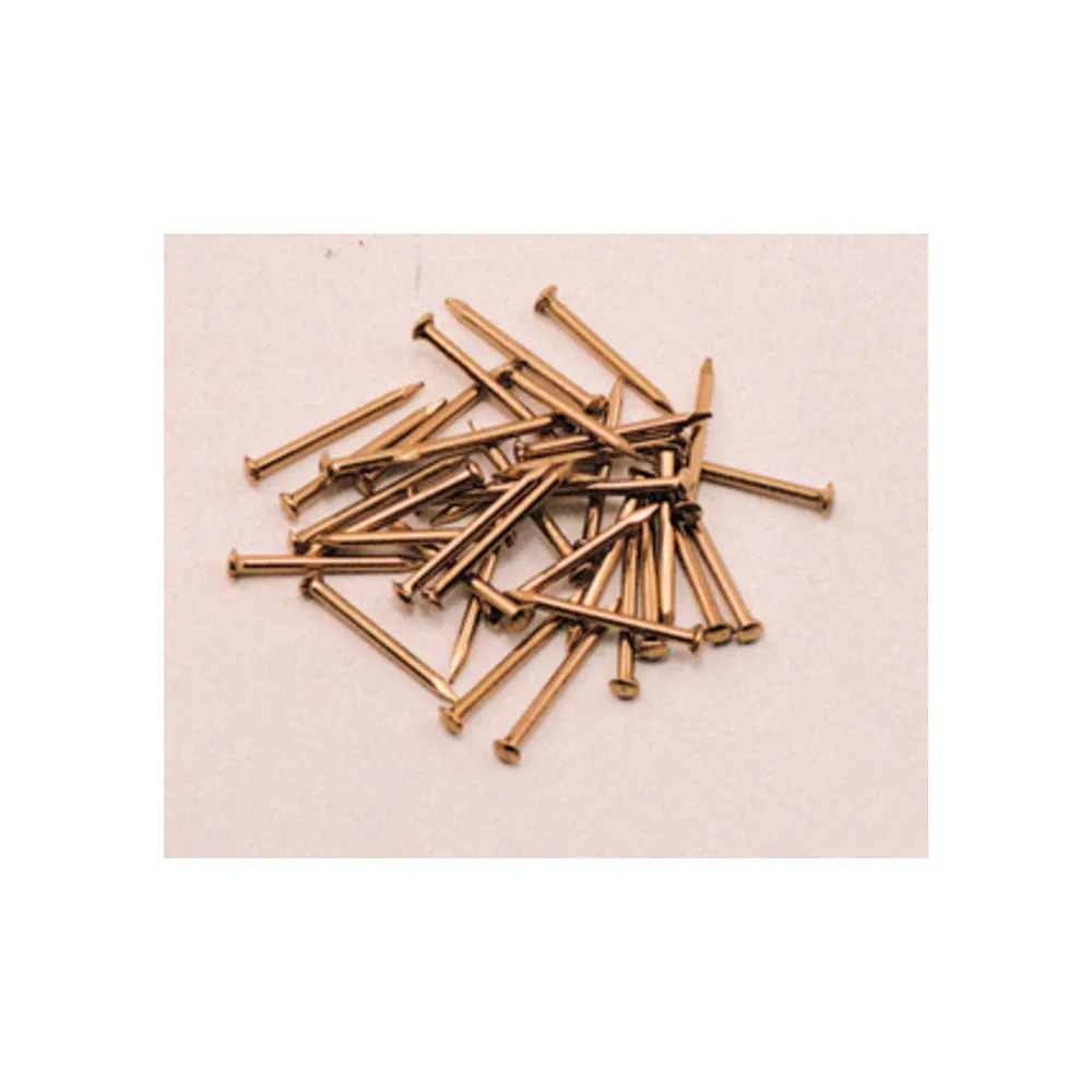SC CHIODI TESTA BOMBATA OTTONE 1 SC CHIODI TESTA BOMBATA OTTONE 1