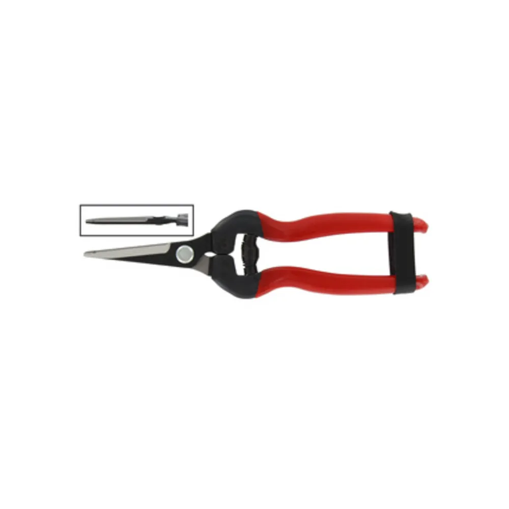 FORBICI P/UVA LAME DRITTE LUNGHE