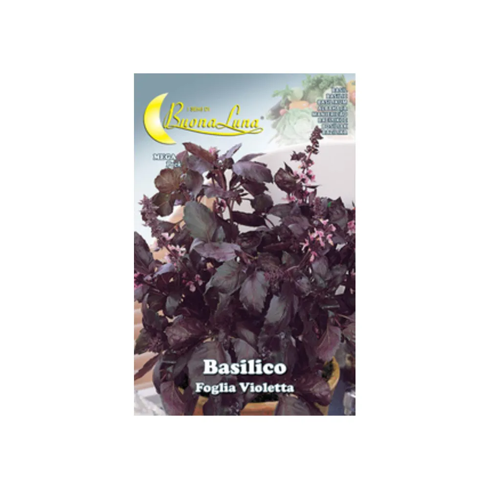 SEMI ORTO BASILICO FOGLIA VIOLETTA (10