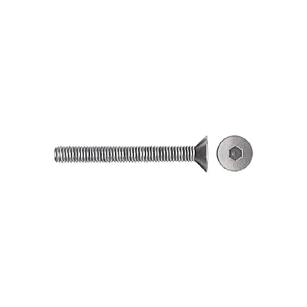 SC VITI P/BUSSOLA T.S.P. ESAG INC 6MA 50 MM 10 PZ SC VITI P/BUSSOLA T.S.P. ESAG INC 6MA 50 MM 10 PZ
