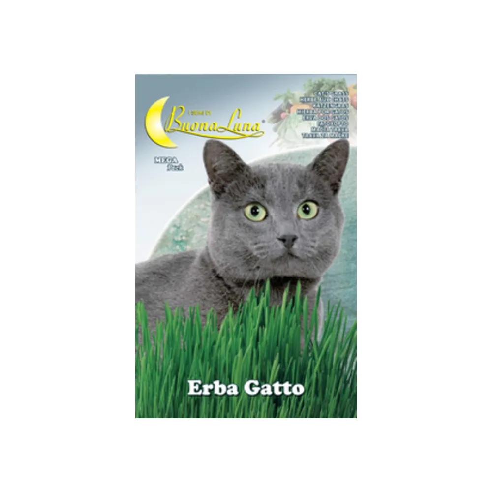 SEMI ORTO ERBA GATTO (10
