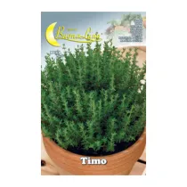 SEMI ORTO TIMO (10